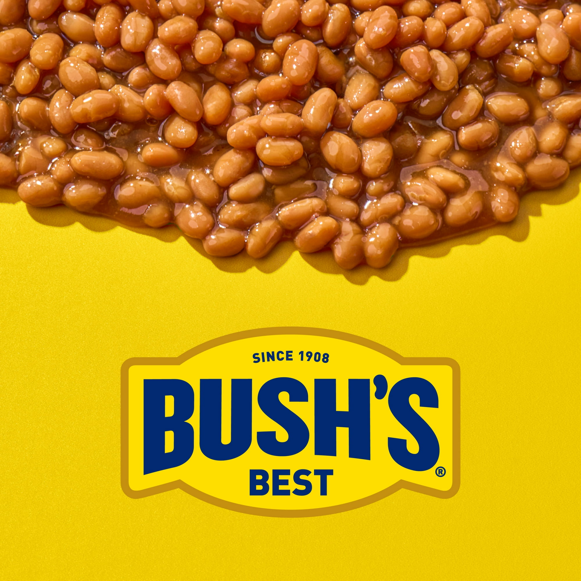 Bush's Country Style Baked Beans, Canned Beans, 16 oz Can